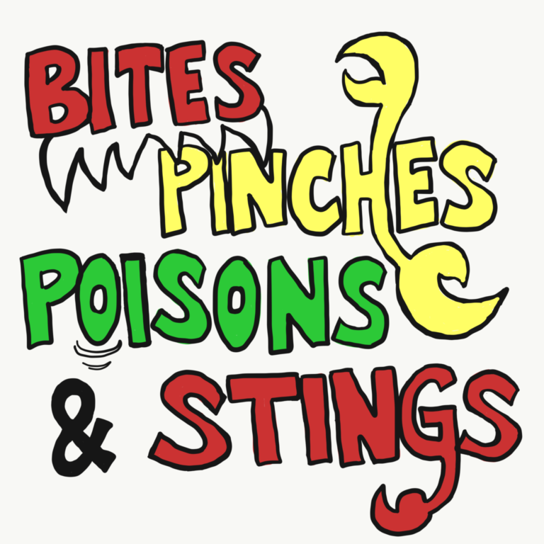 Iron Cross Blister Beetle AMG