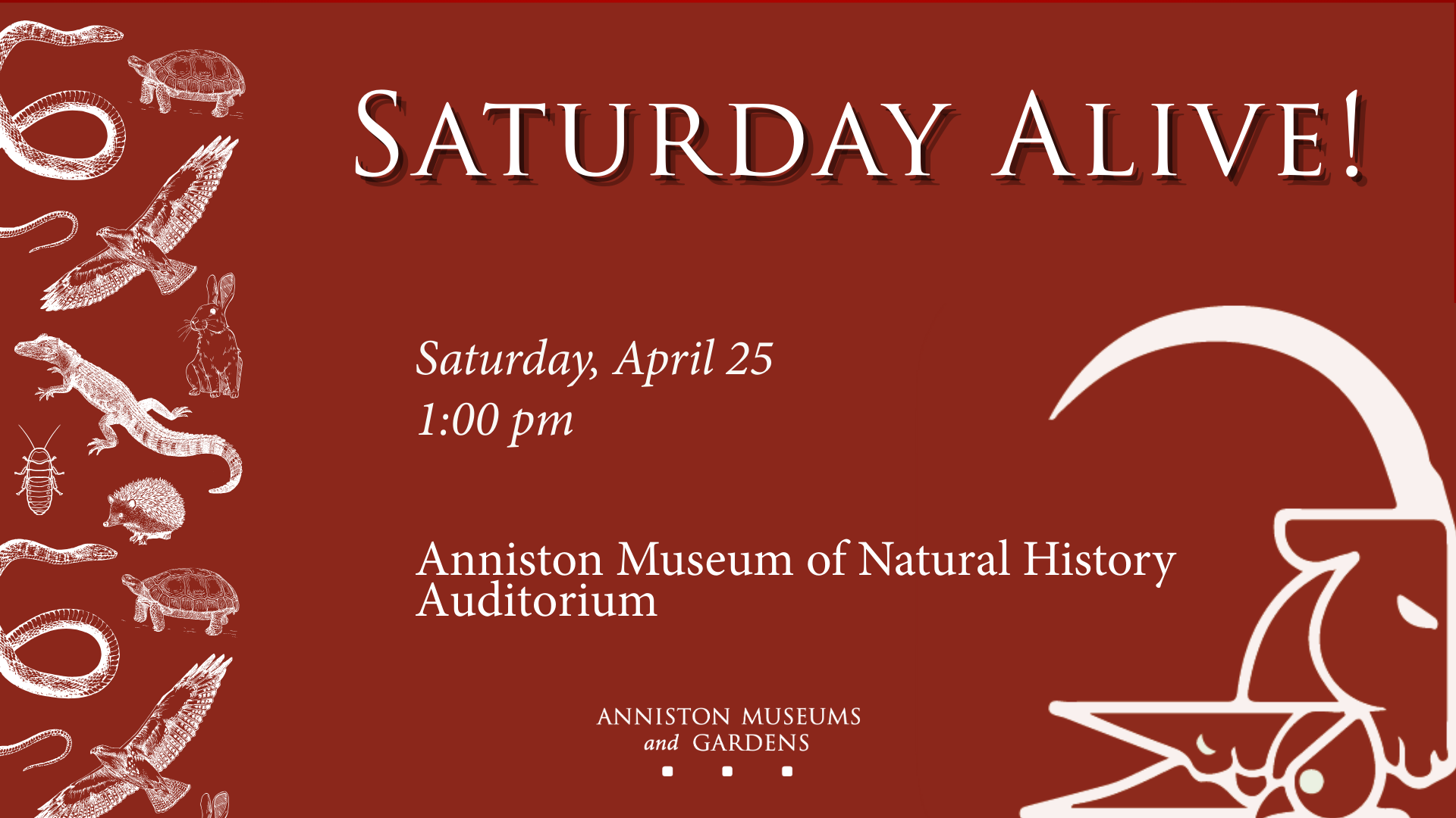 Saturday Alive!