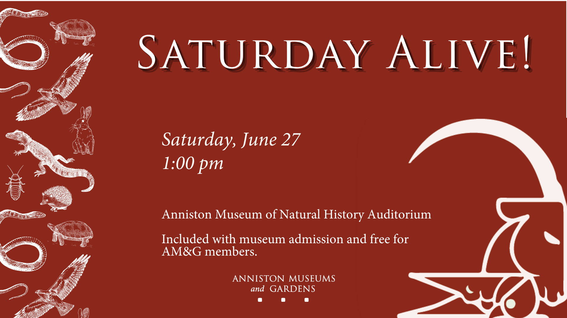 Saturday Alive!