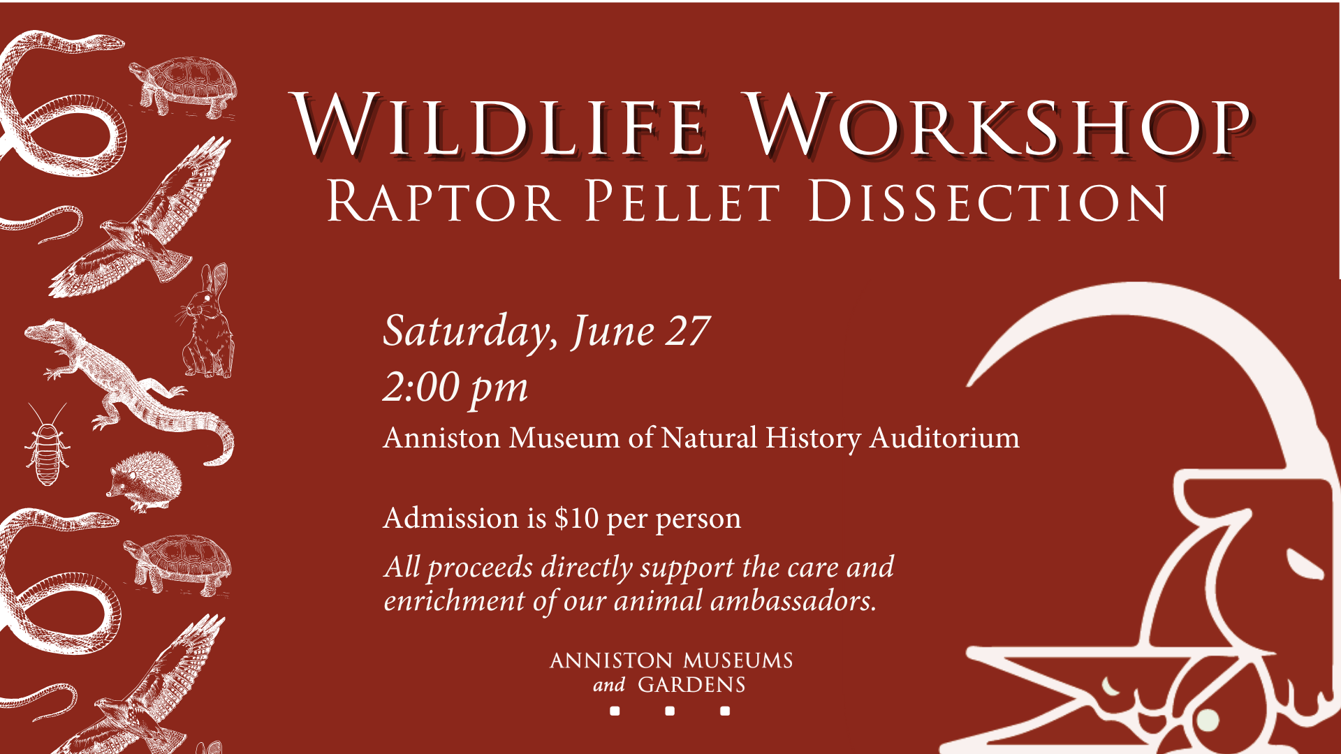 Wildlife Workshop: Raptor Pellet Dissection